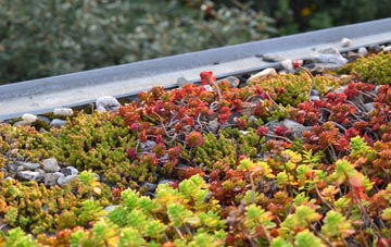the cost of Acklam green roof installation