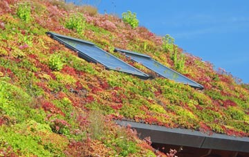 Acklam living roof systems