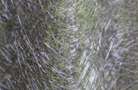 Acklam fibreglass roof work